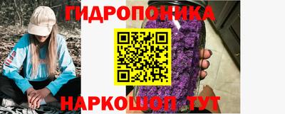 альфа пвп Новодвинск
