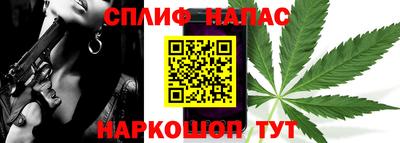 альфа пвп Новодвинск