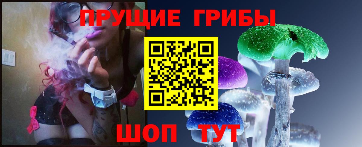 Псилоцибиновые грибы Psilocybine cubensis Ялуторовск